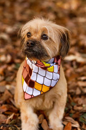 Why Your Dog Needs An African Print Bandana